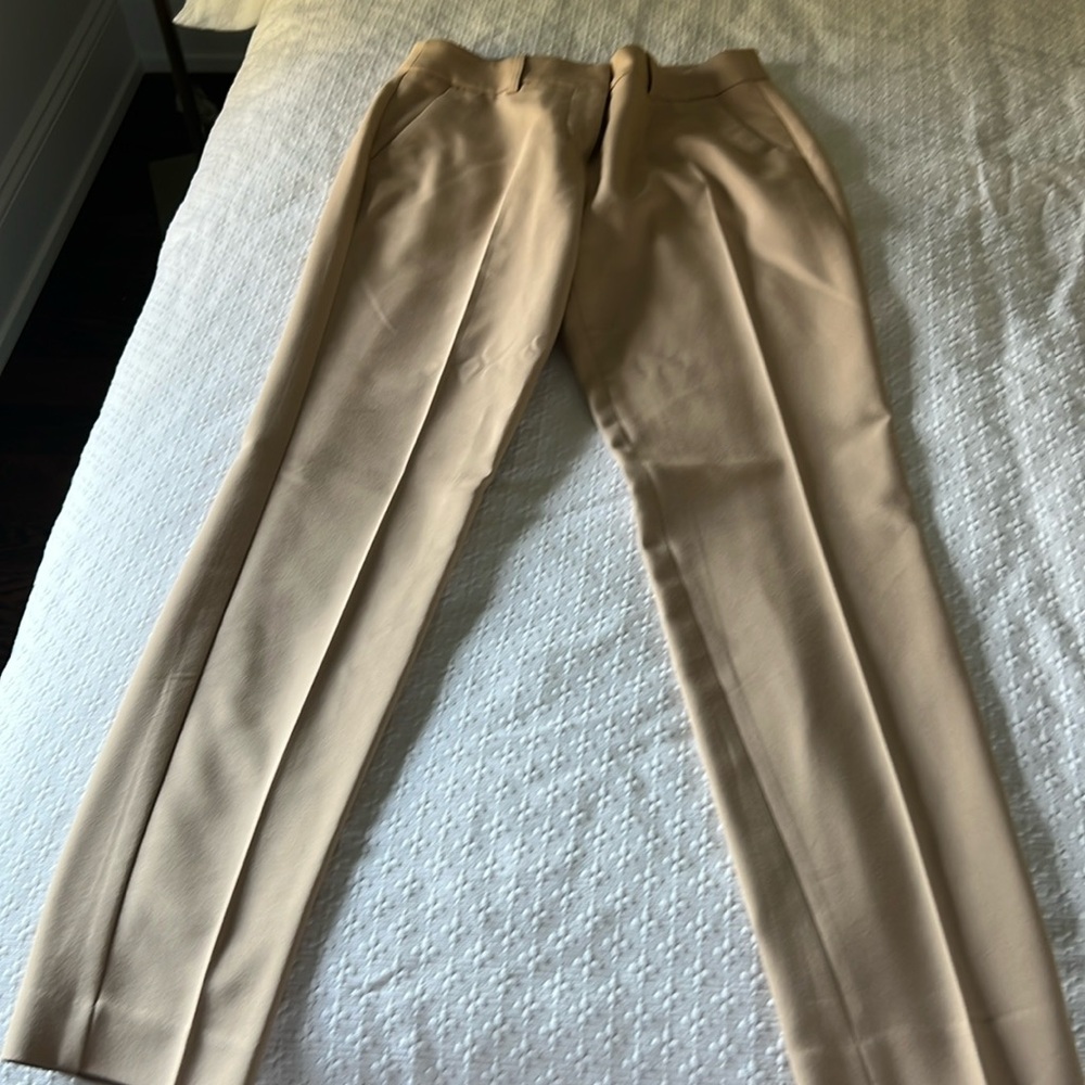 Express dress pants